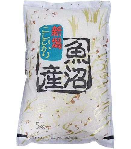 伊丹米 石川県産 コシヒカリ 10kg お米 伊丹米 石川県産 こしひかり 10kg おこめ ブランド米 石川 通販